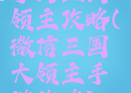 手游三国领主攻略(微信三国大领主手游攻略)