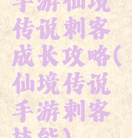 手游仙境传说刺客成长攻略(仙境传说手游刺客技能)
