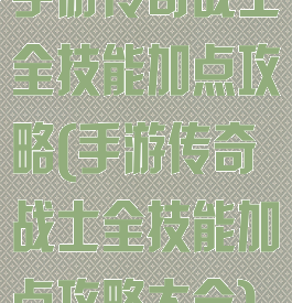手游传奇战士全技能加点攻略(手游传奇战士全技能加点攻略大全)
