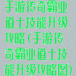手游传奇霸业道士技能升级攻略(手游传奇霸业道士技能升级攻略图)