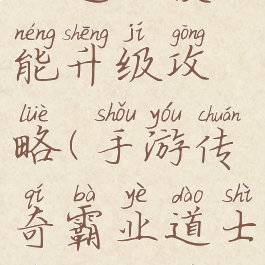 手游传奇霸业道士技能升级攻略(手游传奇霸业道士技能升级攻略视频)