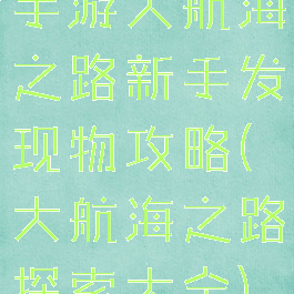 手游大航海之路新手发现物攻略(大航海之路探索大全)