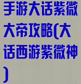 手游大话紫微大帝攻略(大话西游紫微神)