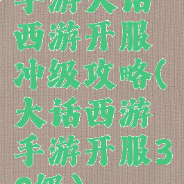 手游大话西游开服冲级攻略(大话西游手游开服30级)