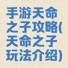 手游天命之子攻略(天命之子玩法介绍)