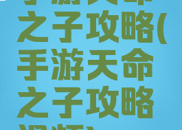 手游天命之子攻略(手游天命之子攻略视频)