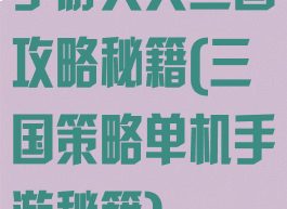 手游天天三国攻略秘籍(三国策略单机手游秘籍)