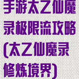 手游太乙仙魔录极限流攻略(太乙仙魔录修炼境界)