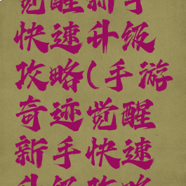 手游奇迹觉醒新手快速升级攻略(手游奇迹觉醒新手快速升级攻略大全)