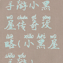 手游小黑屋传奇攻略(小黑屋手游)