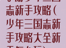 手游少年三国志新手攻略(少年三国志新手攻略大全新手怎么玩)