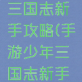 手游少年三国志新手攻略(手游少年三国志新手攻略大全)