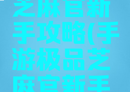 手游极品芝麻官新手攻略(手游极品芝麻官新手攻略大全)