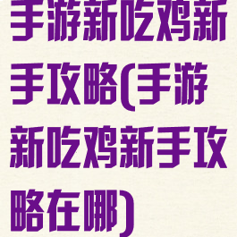 手游新吃鸡新手攻略(手游新吃鸡新手攻略在哪)