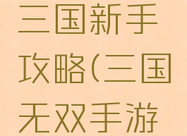 手游无双三国新手攻略(三国无双手游怎么玩)