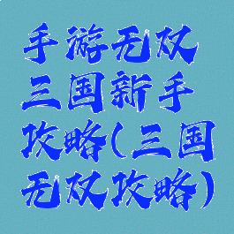 手游无双三国新手攻略(三国无双攻略)