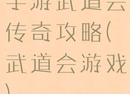 手游武道会传奇攻略(武道会游戏)