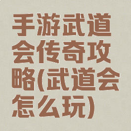 手游武道会传奇攻略(武道会怎么玩)