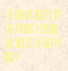 手游武道会传奇攻略(热血武道会手游攻略)