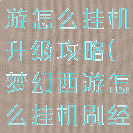 手游梦幻西游怎么挂机升级攻略(梦幻西游怎么挂机刷经验)