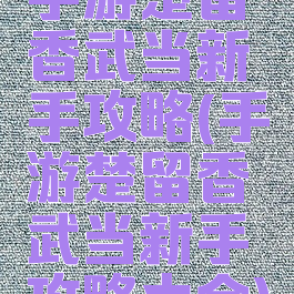 手游楚留香武当新手攻略(手游楚留香武当新手攻略大全)