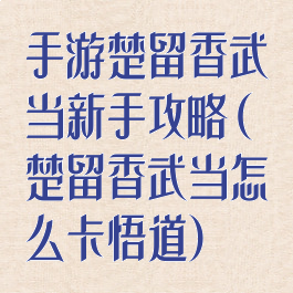 手游楚留香武当新手攻略(楚留香武当怎么卡悟道)
