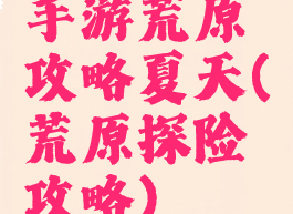 手游荒原攻略夏天(荒原探险攻略)