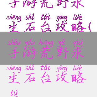 手游荒野求生石台攻略(手游荒野求生石台攻略图)