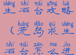 手游荒野求生石台攻略(荒岛求生石台怎么进去)