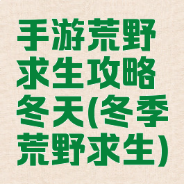 手游荒野求生攻略冬天(冬季荒野求生)