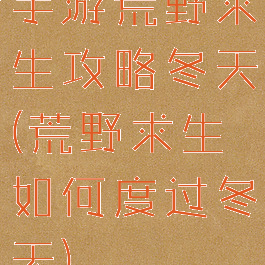 手游荒野求生攻略冬天(荒野求生如何度过冬天)