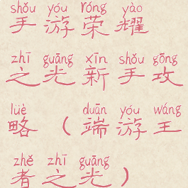 手游荣耀之光新手攻略(端游王者之光)