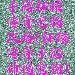 手游轩辕传奇宠物攻略(轩辕传奇手游神祝宠物)