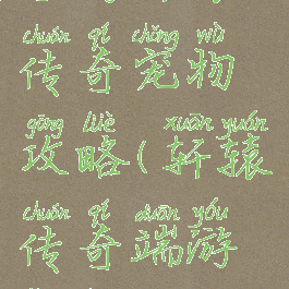 手游轩辕传奇宠物攻略(轩辕传奇端游灵宠)