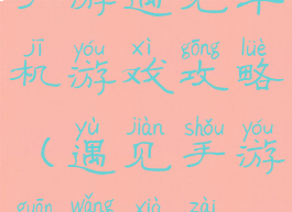 手游遇见单机游戏攻略(遇见手游官网下载)