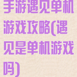 手游遇见单机游戏攻略(遇见是单机游戏吗)