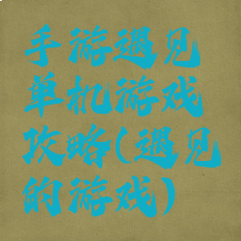 手游遇见单机游戏攻略(遇见的游戏)