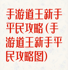手游道王新手平民攻略(手游道王新手平民攻略图)