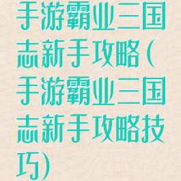 手游霸业三国志新手攻略(手游霸业三国志新手攻略技巧)