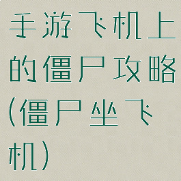 手游飞机上的僵尸攻略(僵尸坐飞机)