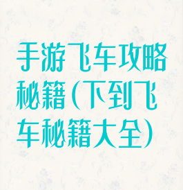 手游飞车攻略秘籍(下到飞车秘籍大全)