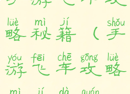 手游飞车攻略秘籍(手游飞车攻略秘籍大全)