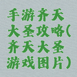手游齐天大圣攻略(齐天大圣游戏图片)