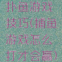 扑鱼游戏技巧(捕鱼游戏怎么打才会赢)