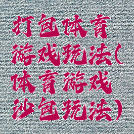 打包体育游戏玩法(体育游戏沙包玩法)