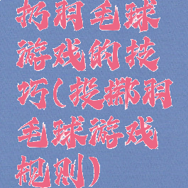 扔羽毛球游戏的技巧(投掷羽毛球游戏规则)