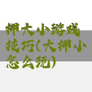 押大小游戏技巧(大押小怎么玩)
