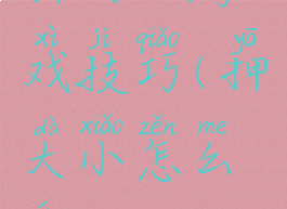 押大小游戏技巧(押大小怎么赢)