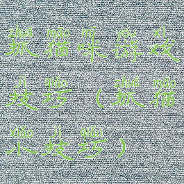 抓猫咪游戏技巧(抓猫小技巧)