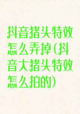 抖音猪头特效怎么弄掉(抖音大猪头特效怎么拍的)